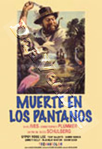 Wind Across the Everglades (DVD)